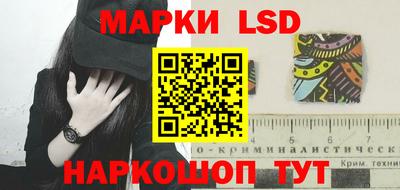гидропоника Кудрово