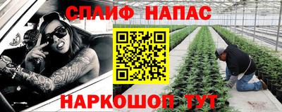 спиды Лениногорск