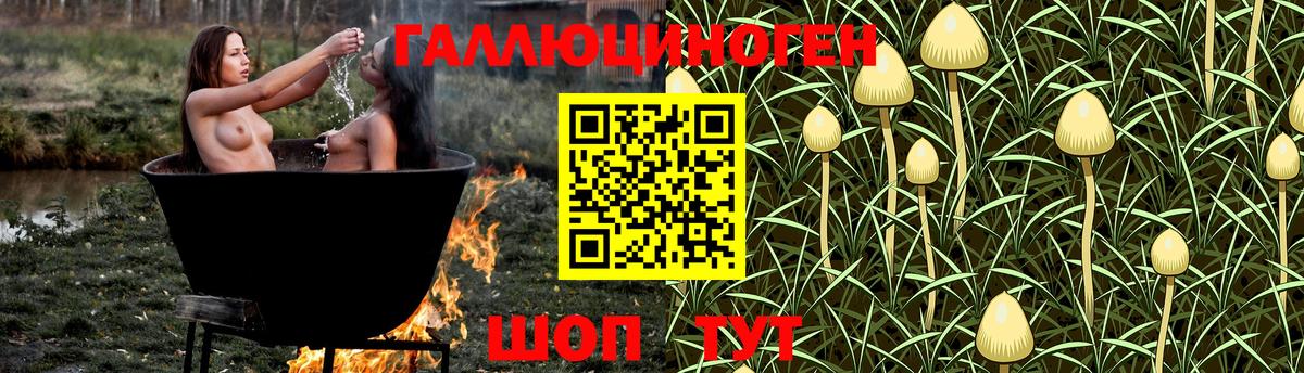 Псилоцибиновые грибы Magic Shrooms Отрадное